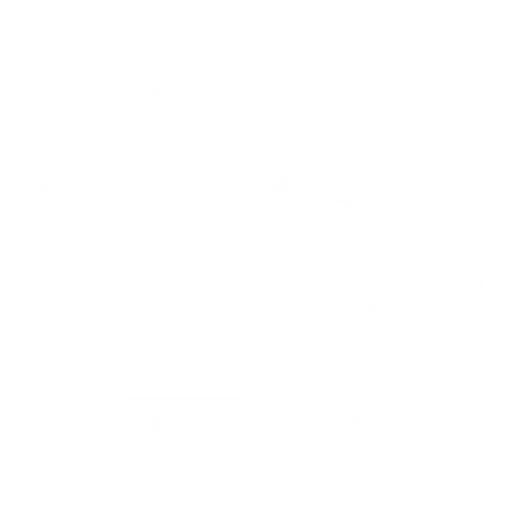 The Computer Science Society